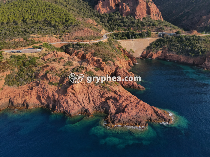 Esterel - affleurement de rhyolite - gryphea.com